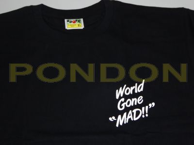 a bathing ape world gone mad jacket
